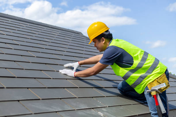 Best Roof Gutter Cleaning  in Belding, MI