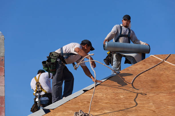 Roof Waterproofing Services in Belding, MI