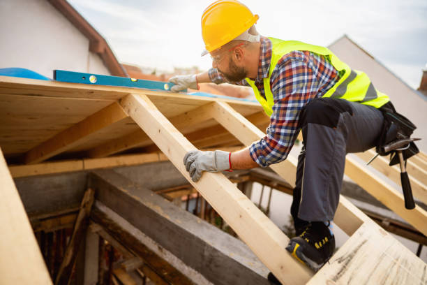 Best Roof Maintenance Services  in Belding, MI