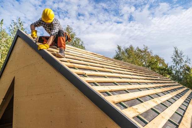 Best Roof Gutter Cleaning  in Belding, MI