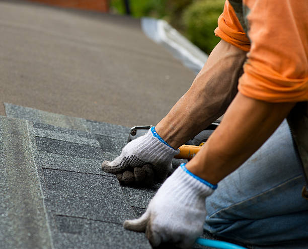 Best Metal Roofing Contractor  in Belding, MI